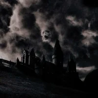 Order of the Phoenix