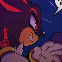 SHADOW THE HEDGEHOG 
