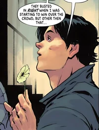 Absolute Bruce Wayne