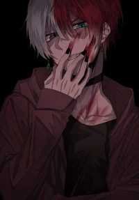 Shoto Todoroki 