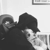 02 Christopher Bahng