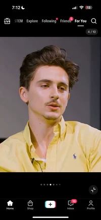 timothée chalamet