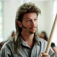 Joe dirt