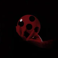 Ladybug - Br 