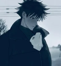 JJK Megumi Fushiguro