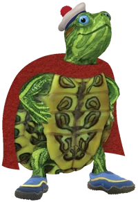 Turtle Tuck 