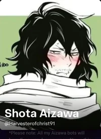 Shota Aizawa