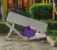 Transformers as cats