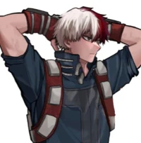 Shoto Todoroki