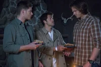 SPN-react 