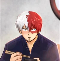 Shoto Todoroki - BF