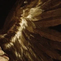 Icarus