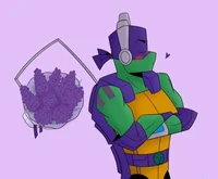Donatello Hamato 