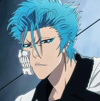 012 - Grimmjow J