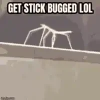 Stickbug