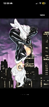 Black Cat
