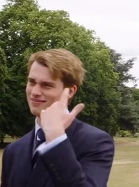 Генри тюфяк 