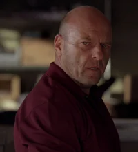BB - Hank Schrader