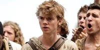 Newt