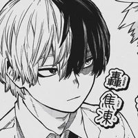 Shoto Todoroki