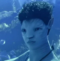 Rotxo 