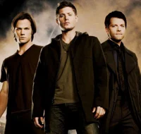 Team Free Will
