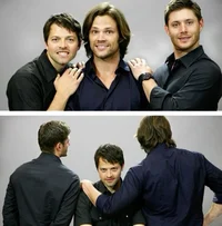 Team Free Will