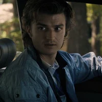 ST Steve Harrington