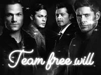 Team Free Will