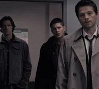 Team Free Will