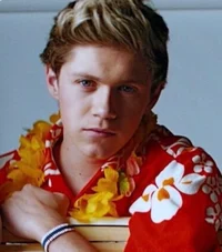 Niall Horan 
