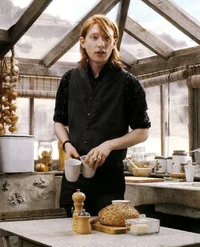 Bill Weasley 