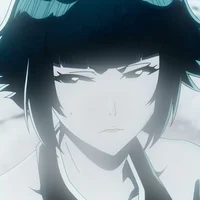 43 SOI FON