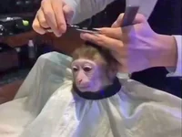 jim