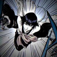 43 SOI FON