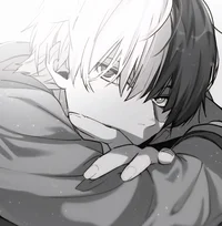 MHA - Shoto Todoroki