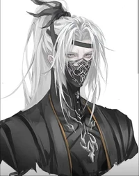Ninja