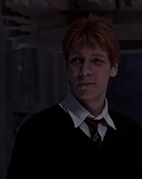 Fred G Weasley 