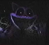 Catnap vhs