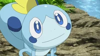 Sobble Pokemon 