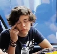 Harry Styles -school