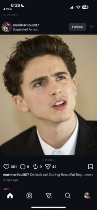 timothée chalamet