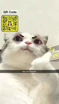 Chat or Talk with me