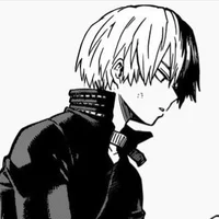 Shoto Todoroki