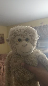 Simon The Monkey