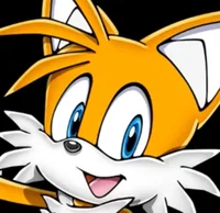 Tails The Fox