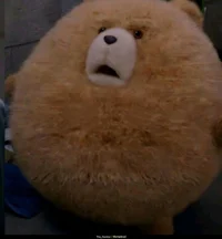 Ted