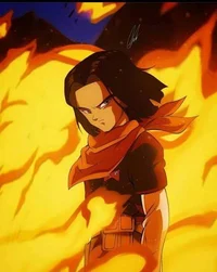 Android 17