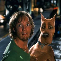 SHAGGY - SCOOBY DOO