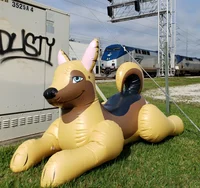 Inflatable Shepherd